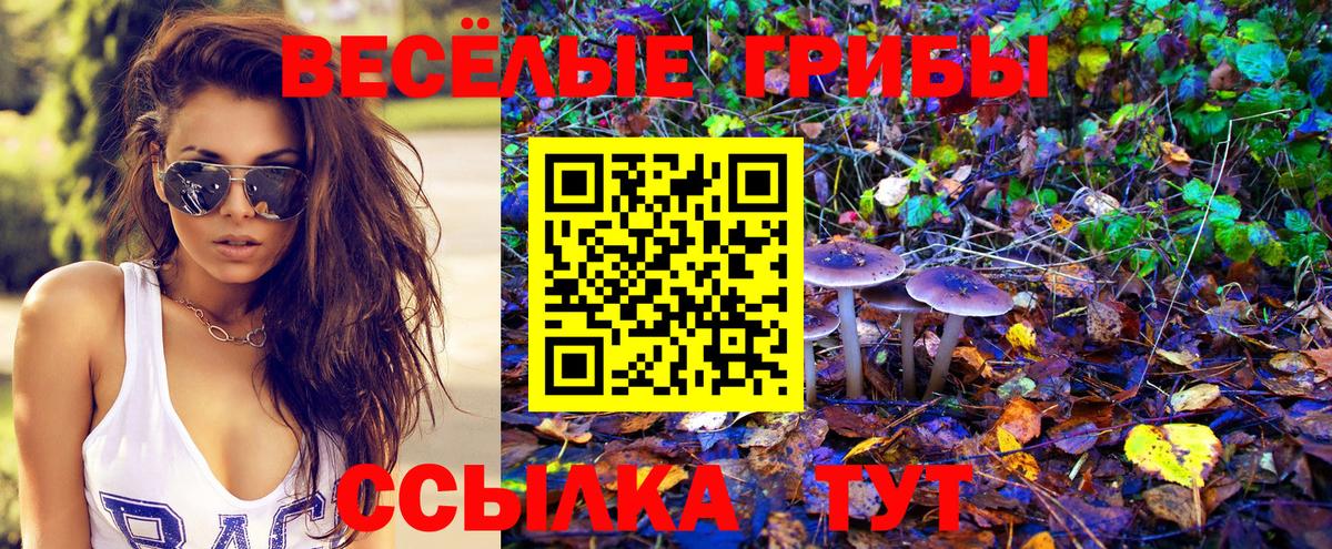 Тара  Псилоцибиновые грибы MAGIC MUSHROOMS  Псилоцибиновые грибы ЛСД  Вход с VPN 