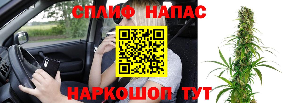 Канабис ГИДРОПОН Тара